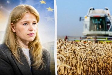 Чи зникнуть цілі галузі агросектору після вступу України до ЄС: відповідь експерта