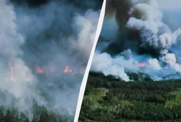 На прикордонні Чернігівщини через обстріли РФ вирує масштабна лісова пожежа (відео)