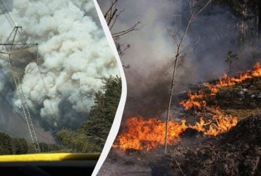 Біля Чорнобиля стрімко поширюється масштабна лісова пожежа, ситуація ускладнюється, - ДСНС