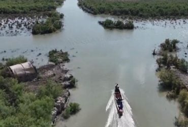 У річках Іраку стало більше води: Reuters пише про відновлення біблійних боліт Едему