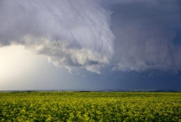 12 травня Україну охоплять дощі та грози: де буде мокро