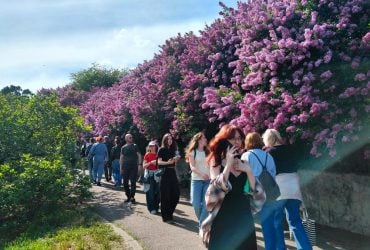 Не протолкнуться: в киевском ботсаду ажиотаж из-за цветения сирени (фоторепортаж)