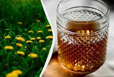 Як приготувати настоянку з кульбаб для суглобів та від кашлю: покроковий рецепт