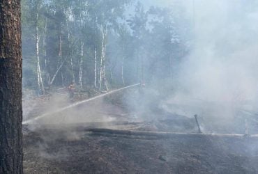 В районі Чорнобиля спалахнули нові масштабні пожежі: яка причина