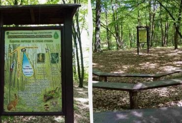 В столичному Голосіївському лісі з'явилася нова екостежка, що ідеально підходить для дітей