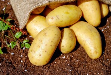 Картопля на клумбах: росіяни масово скаржаться на ціни та бояться ізоляції