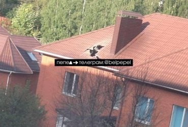 Під Бєлгородом авіабомба РФ впала на житловий будинок: є жертва