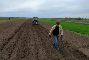 В Україні переписали ціни на землю: скільки зараз коштує гектар