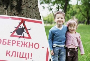 Як захиститися від кліщів: лісники розкрили два прості трюки