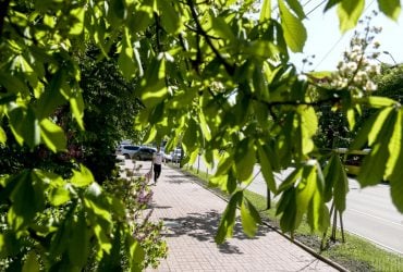 22 травня в Києві буде найтепліший день тижня, попереду – похолодання