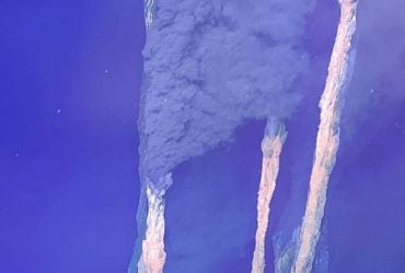 Ученые отправили робота на дно Карибского моря и обнаружили нечто совершенно неожиданное