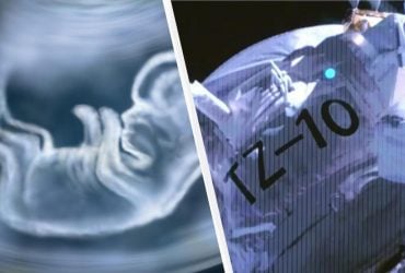 Вперше в історії: Китай відправив в космос штучні ембріони