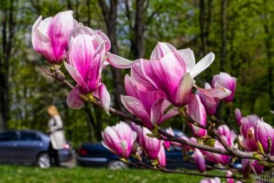 На вихідних погода в Україні круто зміниться