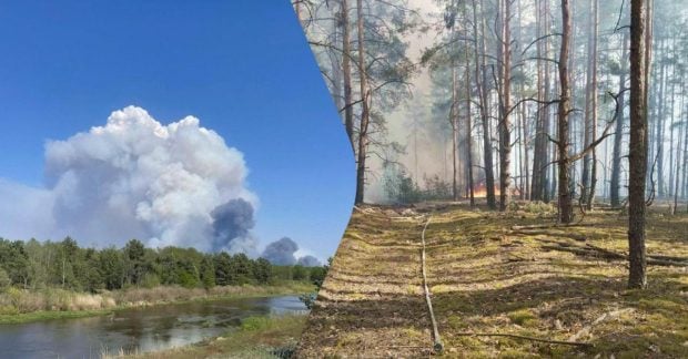 у зоні відчуження спалахнула масштабна пожежа