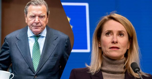 Україна і Євросоюз відповіли, чи зможе Шредер стати переговірником
