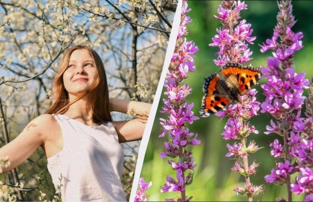 Одразу два свята в Україні: чим цікаве 18 травня та що зробити для міцного шлюбу