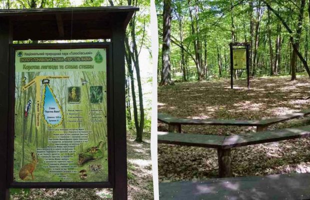 В столичному Голосіївському лісі з'явилася нова екостежка, що ідеально підходить для дітей