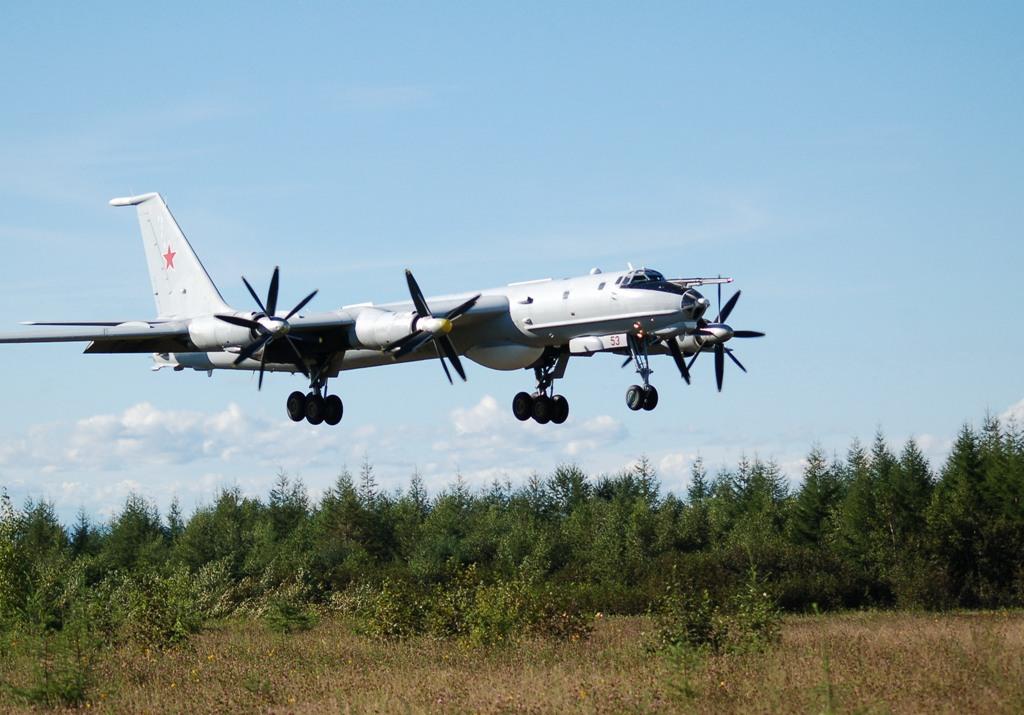 Знищення Ту-142: експерт пояснив, чому це відчутна втрата для окупантів
