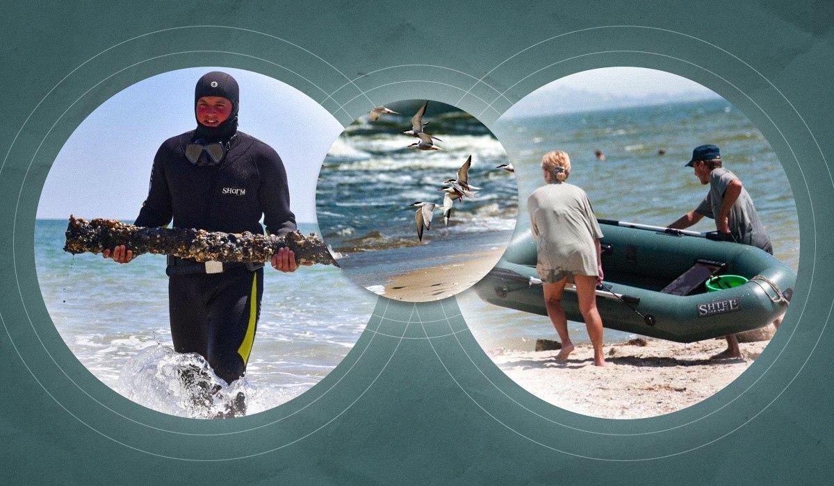 Відновити Азовське море до довоєнного стану не вийде: біолог назвав причину