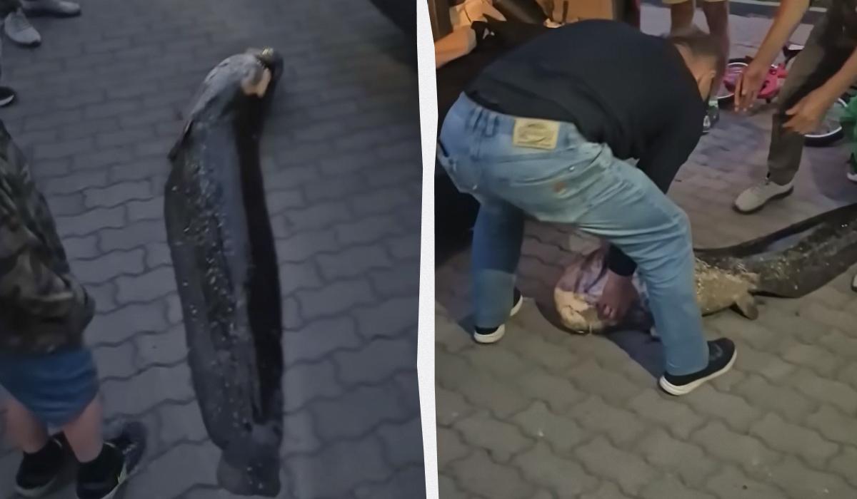 В Польше двое украинцев убили местную легенду и разозлили пол-Варшавы В Польше двое украинцев убили местную легенду и разозлили пол-Варшавы