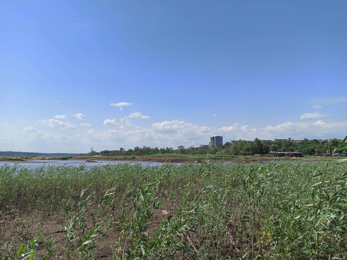 'Відновлення Великого Лугу не буде. Зараз на місці Каховського водосховища формується нова екосистема', - еколог Максим Сорока