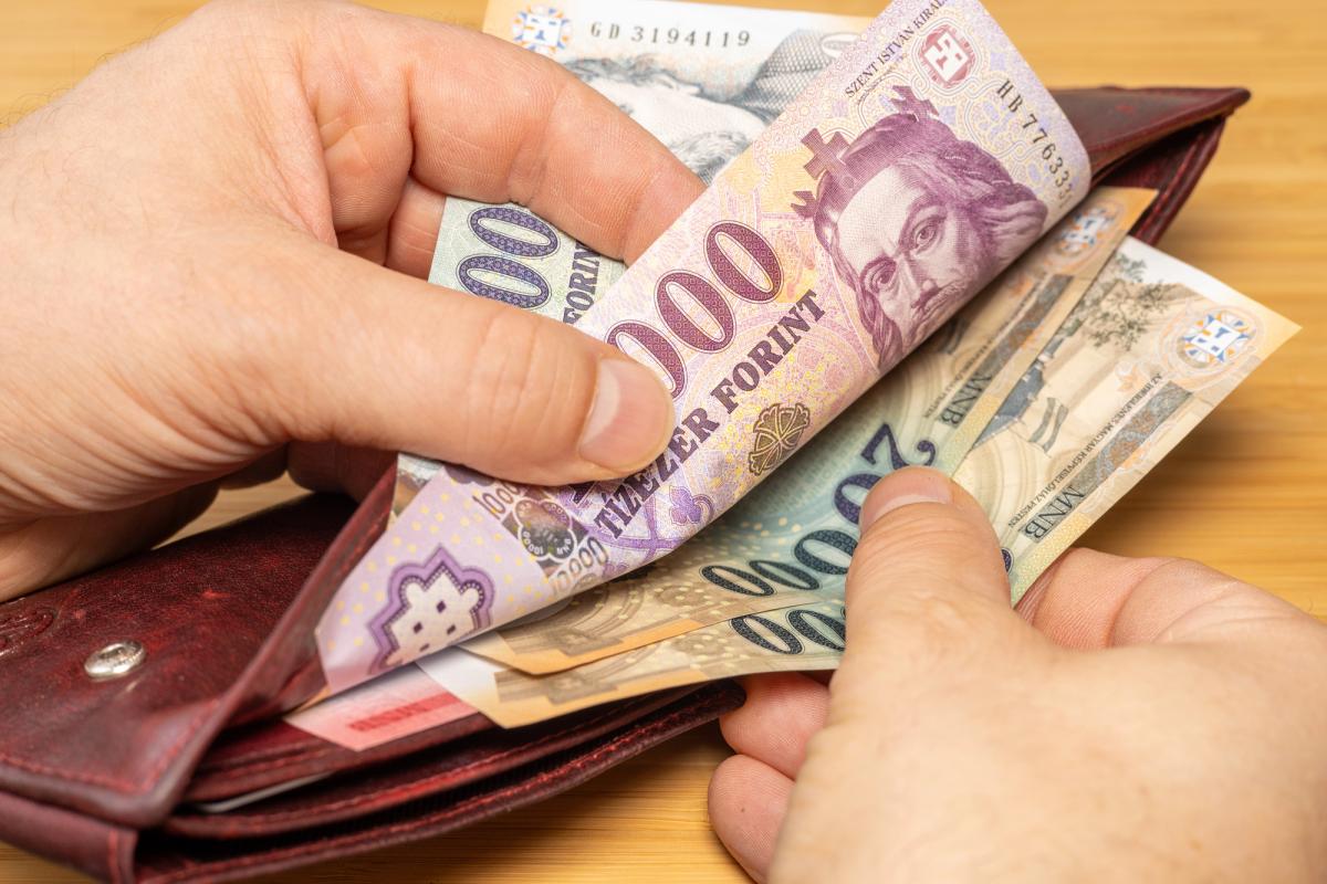 Зарплати в Угорщині зросли: скільки платять працівникам