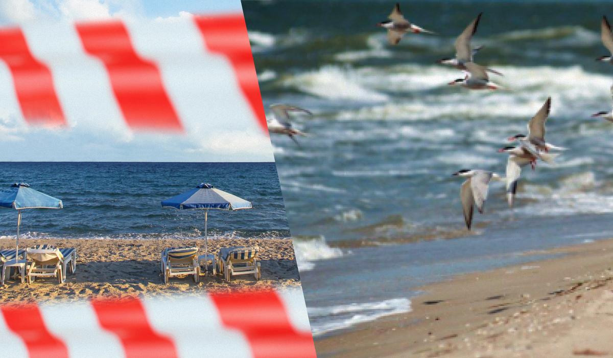 'А де люди?': який вигляд мають окуповані курорти Азовського моря (відео)