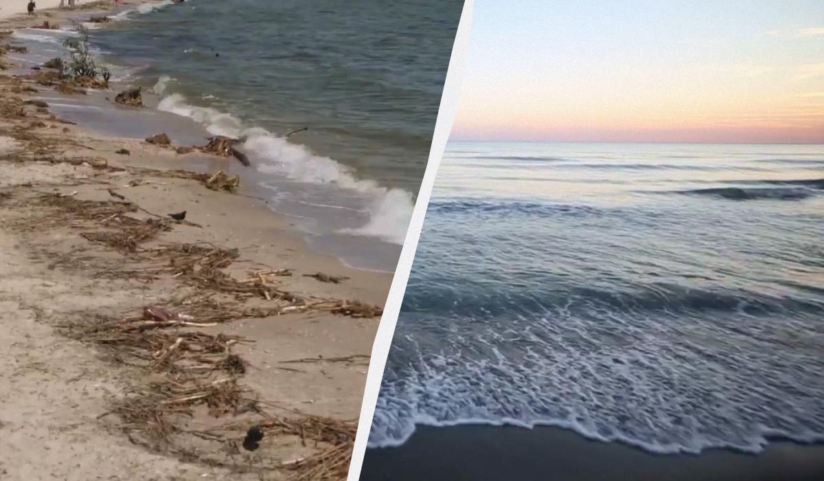 Чорне море після підриву Каховської ГЕС відновилося швидше, ніж очікували, - учений