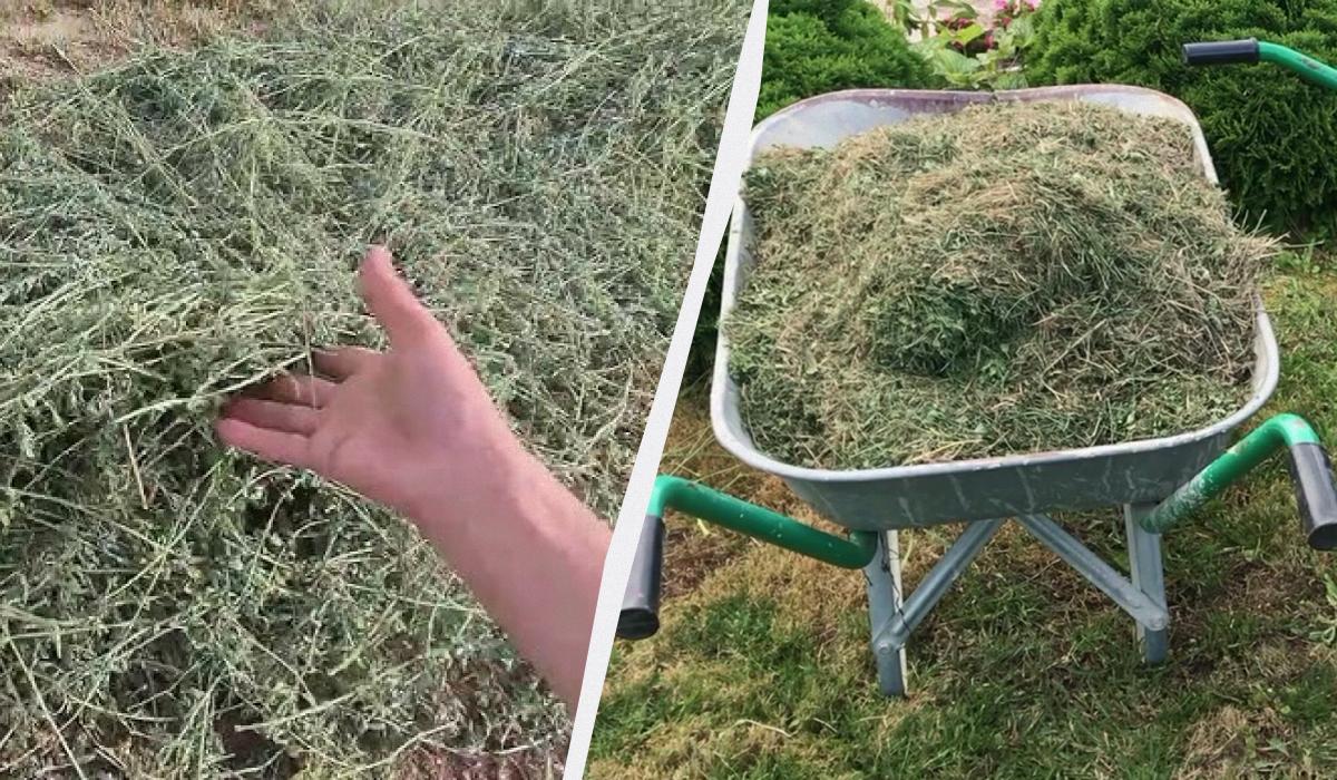 куда девать скошенную траву на участке