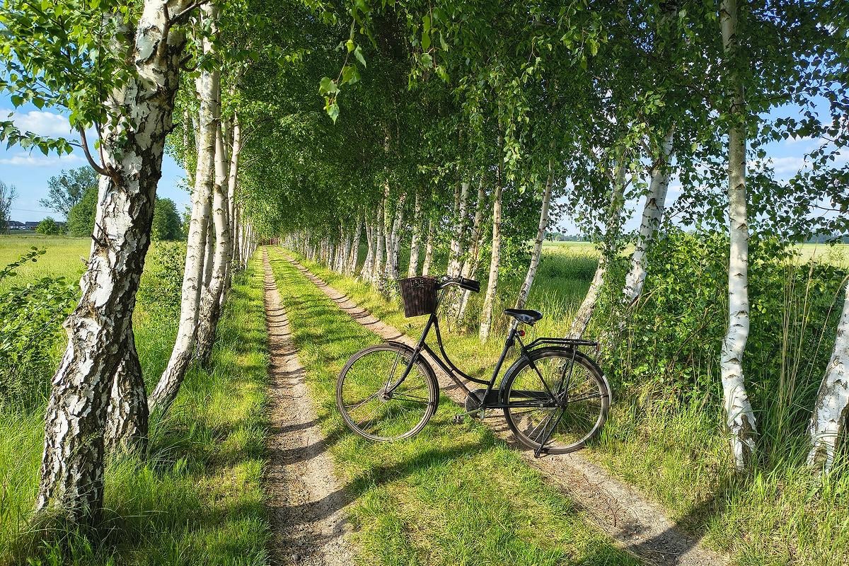Что сегодня нельзя делать Что сегодня нельзя делать