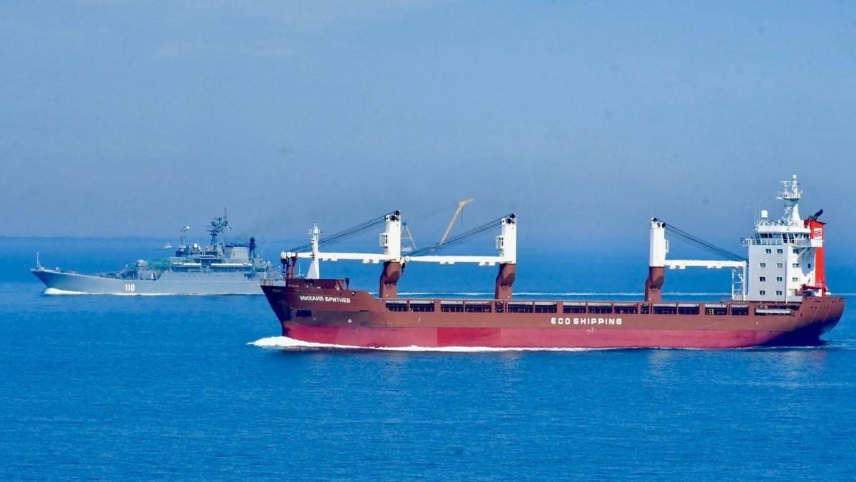 Росія накрила десантні кораблі москітними сітками для захисту від українських дронів, – ЗМІ