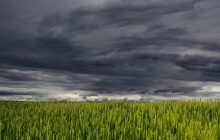 Погода в Украине становится всё более экстремальной: метеоролог объяснила, ждать ли стабильности