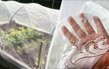 Старые шторы еще послужат в хозяйстве: что сделать из тюля для дома и огорода