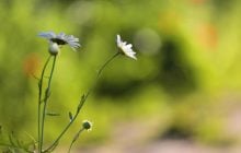 Тепло до +27°, але є нюанс: яку погоду принесе українцям п'ятниця