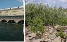 "Величезна екосистема загинула миттєво": вчений розповів, що зараз з Каховським водосховищем