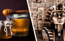 В гробнице Тутанхамона нашли мед, которому 3000 лет: его до сих пор можно есть