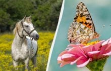 Украинские и международные праздники 9 июня: почему нужно поздравить друзей