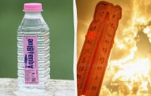 Почему в испанских домах стоят бутылки с водой у окон в жару: неожиданная причина