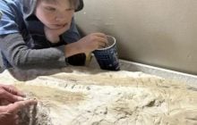 11-летний мальчик нашел в карьере скелет морского чудовища возрастом 85 миллионов лет