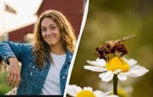 Свято в Україні 17 червня: небезпечні прикмети дня та обряд для оздоровлення