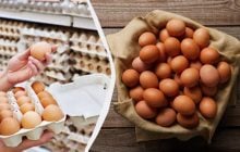 Можно ли есть яйцо, которое треснуло сырым: эксперты дали однозначный ответ