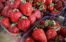 В Украине в конце сезона подорожала популярная ягода: сколько сейчас стоит килограмм