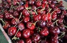 Рынок завален черешней: сколько стоит килограмм ягоды теперь