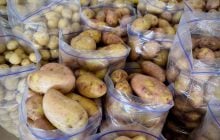 В Украине молодой картофель активно дешевеет: какие цены сейчас