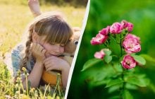 21 червня - неймовірний день для України: одразу 5 свят відзначаємо сьогодні