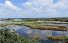 Великий Луг вже не відновиться: вчений розкрив майбутнє Каховського водосховища