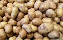Картопля в Україні вже значно дешевша, ніж минулого року: скільки коштує овоч