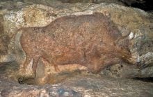 Ученые раскрыли главную тайну французской пещеры с черными рисунками