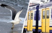 Из Одессы в Каролино-Бугаз на лето запускают дополнительный поезд: как будет курсировать