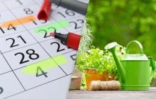 Календарь садовода на июль 2026: какие дни выделить для работы в огороде